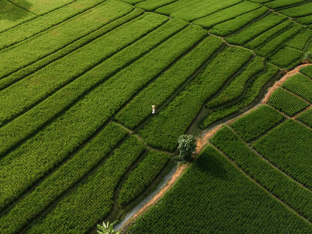 LAND