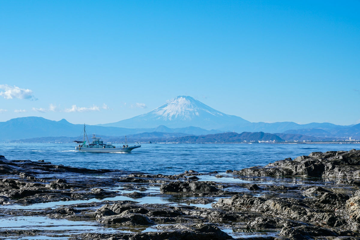 COASTAL RESILIENCE