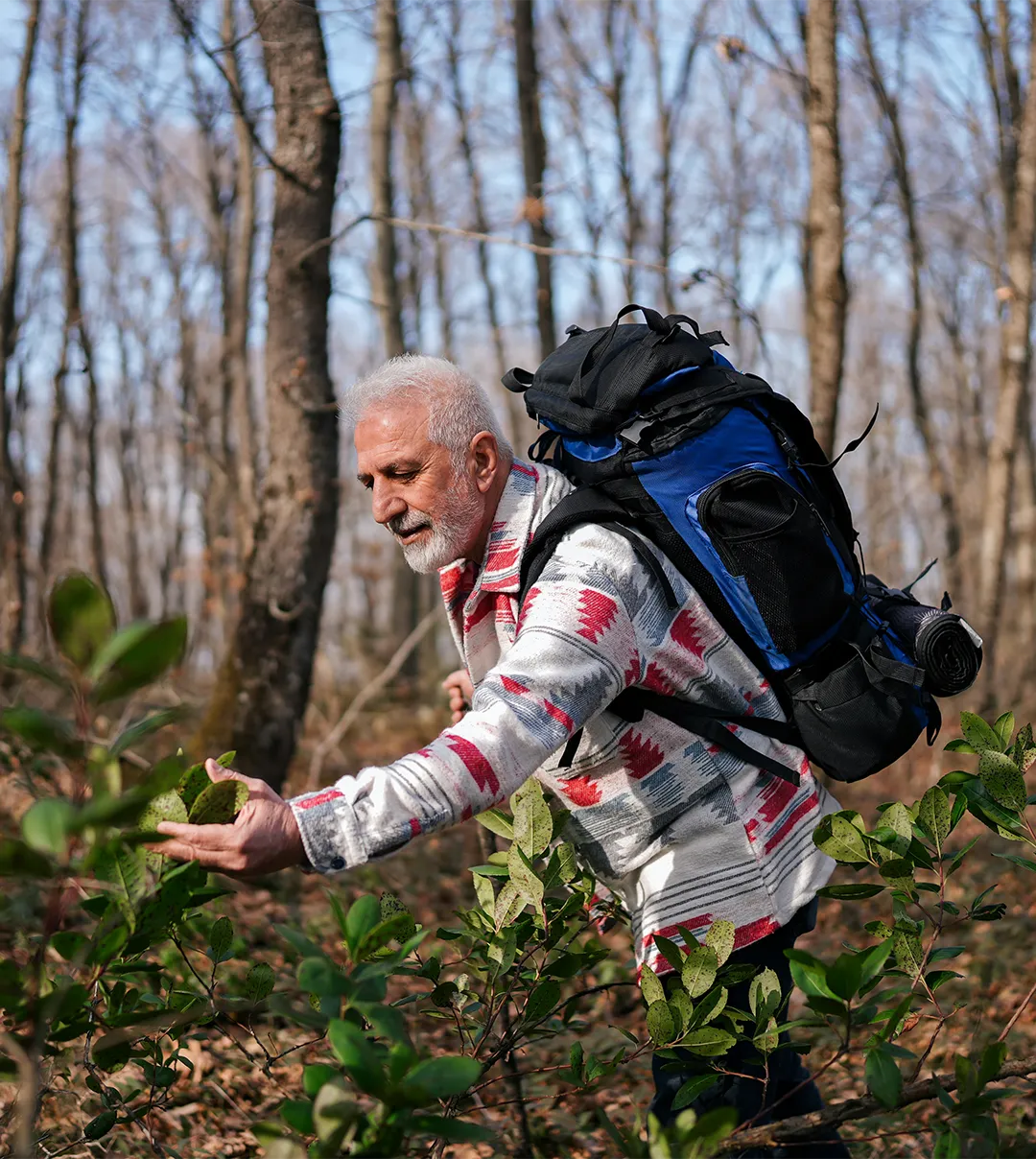 Temperate Forest Habitat Restoration